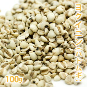 NCj [ngM] 10g i͂Ƃނ ͂Ɣ ngMGLX NCjGLX 艻ϕi RX ΂ ͂Ƃނϐ ێ   mn[ujy|Xg͂