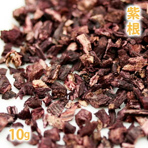  [VR] 10g i _ mn[u ΂ Ό ΂ RX  ߕ GLX Ct[YhIC o o  N[ ϐjy|Xg