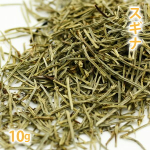 XMi [z[Xe[] 쐶 10g y XMi N  eB[  ~lLx mJtFC 쑐 R ` n[ueB[ n[u a zy|Xg͂^12z