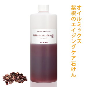 y\̔ 12/4ȍ~oׁz̃GCWOPA΂ IC~bNX yn[tTCYz (JtFEhET{ IWi) ΂񃌃Vsty ΂ Ό ێ q 