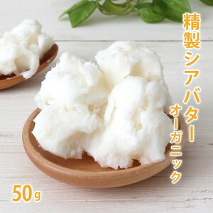 I[KjbN VAo^[ 50g VA yΌ RX 艻ϕizy|Xg͂^8z