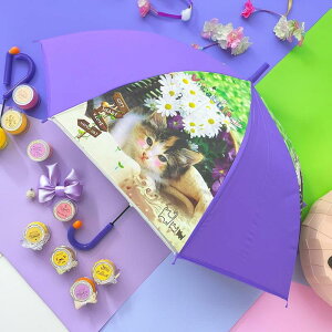 qrj[P˂@˂@L@lR@˂D p[v@x_[@ 50CMWv^Cvct@ۈ牀@wZ w Mtg@v[gCAFEDIMLY JtFfB[@q