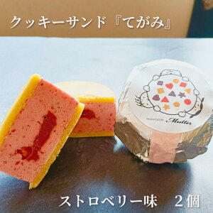 NbL[Th Ă Xgx[ sgp AM[Ή AM[ΉX[c a Oet[ Mtg LO sgp isgp sgp ibcsgp Nb