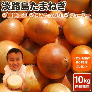 ʂ˂yv[gzWHʔK 10kg ܂˂ Ntg^}lM ^}lM  IjIy 10kg zTCY C Â WHʂ˂ _ WH WH Hׂʂ˂hbV