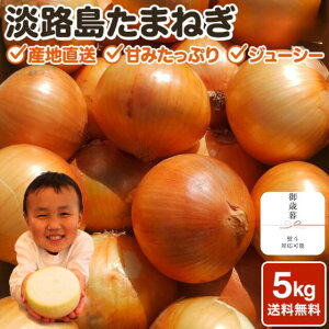 Ε X[p[SALE ʂ˂ ܂Ƃߔ WHʔK 5kg 10kg 20kg܂˂ Ntg^}lM  IjIy 5kg 10kg 20kg zTCY C Âʂ˂ 󂠂 WHʂ˂ _ WH