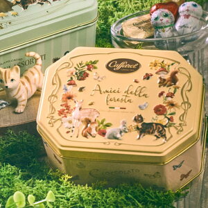 y Jt@ caffarelz A~[`EfbEtHX^ 8y َq  킢  َq XC[c v[g Mtg `R `R[g lߍ킹 a ĂƂ 