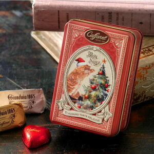 NX}X2025y  Jt@ caffarel zNX}Xʁy NX}X َq v`Mtg  `R[g `R  qǂ Mtg v[g 1000~  `R[g 