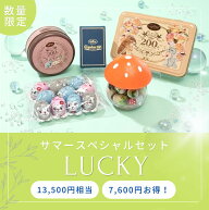 サマースペシャルセット　ラッキ ー