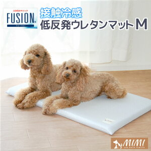 Yy MIMI ~~ zf t[W FUSION M 45x68x3cm ᔽE^ ڐG⊴ Ђ N[}bg  { COOL V[g NbV   ^ lR N[p