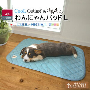 MIMI N[ AEgXg(R) & LBl(R) ɂ pbh Ly60×80cmz{ ybgpi Ђ}bg 􂦂  ~pbh ~pbh R hL h_j CooLArtist(R) N[A[eBX