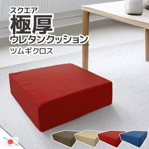 ǂ 1.8kg XNGA Ɍ12cm cMNX Ō` E^ NbV { 40×40×12cm Jo[O tANbV p^ Xc[ Ibg}  zc u ֎q  