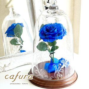 vU[uht[ Ɩb KXh[ v|[Y Ԃo җ 1ւ̃o LO LO   j  ޏ  ` l FB a ސE uU[ht[ Ď