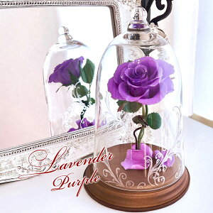 vU[uht[ Ɩb KXh[ v|[Y Ԃo җ 1ւ̃o LO LO   j  ޏ  ` l FB a ސE uU[ht[ Ď