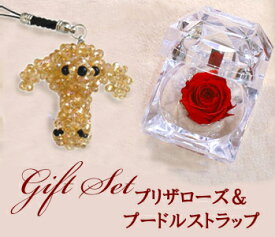プリザーブドフラワー 1輪のバラ ギフト ホワイトデー プレゼント キーホルダー チャーム バラ プードル 犬好き プチギフト 友達 恋人 彼女