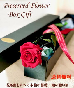 プリザーブドフラワー ボックス 一本バラ 一輪のバラ 誕生日 記念日 送別 合格 式 先生 プレゼント 卒業 バレンタイン 誕生日 プレゼント プロポーズ 記念日 枯れない花 ブリザードフラワー 彼女 恋人 妻 卒園式 バラ 花 入学 入社 異動 退職 送別 赤いバラ 青いバラ