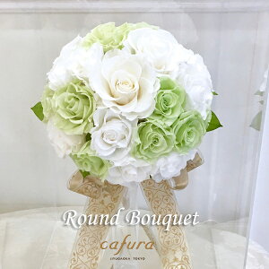 vU[uht[ EFfBOu[P@@u[gjAt@Ehu[P I[_[F\