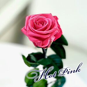 vU[uht[ 1{ o {bNX 1 ͂Ȃ a LO  v|[Y LO ޏ l  ͂Ȃ 1 uU[ht[  KN w  ٓ ސE  Ԃo 