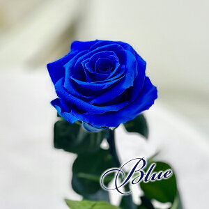 vU[uht[ ւ̃o Mtg a {KN uU[ht[ Ď̂j v|[Y LO i   Ӊ   o  Əj y  c  