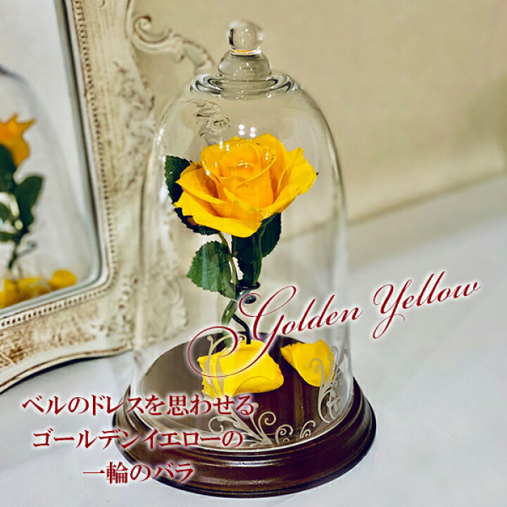 Off Luckystar Beauty And The Beast Rose本物のバラで手作り保存花 枯れない花 永遠の花 1輪 ガラスギフトボックス入りプリザーブド Fucoa Cl Off Luckystar Beauty And The Beast Rose本物のバラで手作り保存花 枯れない花 永遠の花 1輪 ガラスギフトボックス入りプリザーブド Fucoa Cl