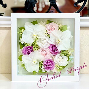 vU[uht[ v[g Ӓ t[ j  j LO ފ     Mtg Ď  e җ   uU[ht[ Ď̂