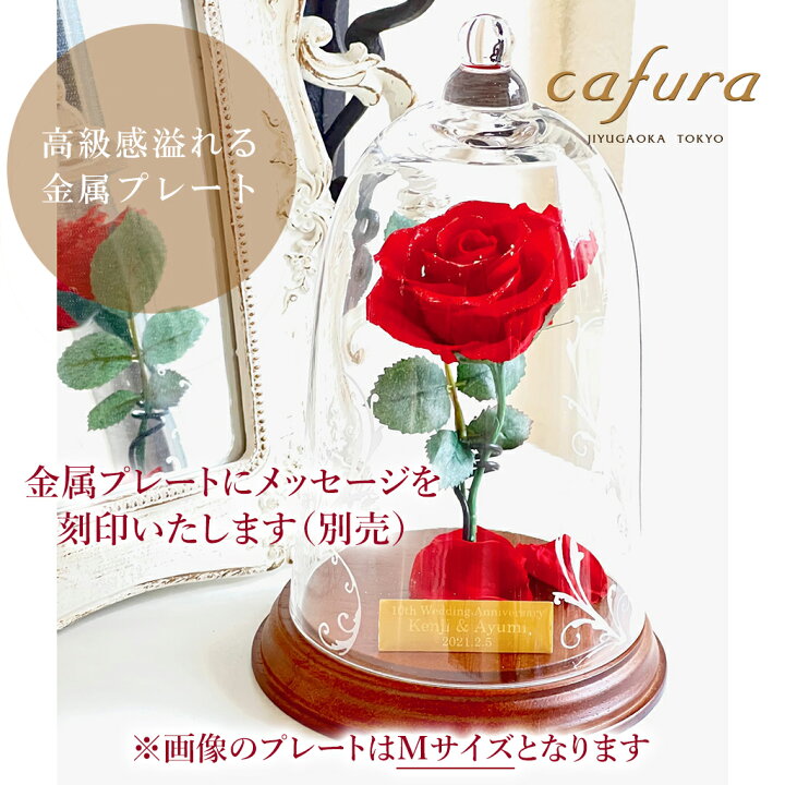 日本最大のブランド ギフト専門店 The Wowプリザードフラワー 名入れ 美女と野獣 一輪薔薇プリザベル型ガラスドーム 1本バラ バラ 薔薇 ダイアモンド ダイヤ 天然ダイヤ 記念日 女性 プレゼント 即日 Avtor Com Ar