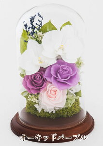 vU[uht[ Ӓ KXh[ v[g ފ   j j a ސE  J   e ` LO e Vzj җ Ê Ď P  