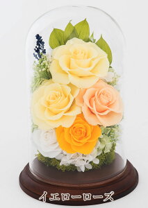 vU[uht[ Ӓ KXh[ v[g ފ   j j a ސE  J   e ` LO e Vzj җ Ê Ď P  