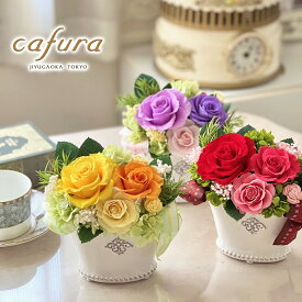 プリザーブドフラワー 花 カーネーション バラ 祝電 女性 誕生日プレゼント 女友達 誕生日 30 40 50 代 喜寿 花 バラ 結婚式 結婚祝い 誕生日 米寿のお祝い ブリザーブド 還暦祝い プリザーブドフラワー 古希 傘寿 米寿 退職 送別
