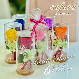 プリザーブドフラワー プレゼント カーネーション バラ ガラス ボトル フラワー 枯れない 花 女性 誕生日プレゼント お彼岸 女友達 誕生日 30 40 50 代 プレゼント プチギフト 誕生日 プレゼント お祝い お礼 送別 ブリザーブドフラワー ブリザードフラワ－ ペットお悔み