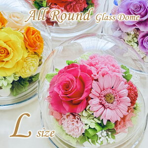 vU[uht[ KXh[  a җ Ԃo j LO   J[l[V Ӓ o Ђ܂ K[x  LTCY I[Eh a J