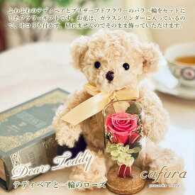 プリザーブドフラワー 一輪のバラ 花 テディベア ぬいぐるみ ベージュ 女性 母の日 誕生日プレゼント くまのぬいぐるみ プレゼント 女友達 誕生日 電報 花束 ブーケ 母 義母 祖母 妻 退職 送別 かわいい 贈り物 お祝い くま ブリザードフラワー 祝電 結婚式 還暦祝い