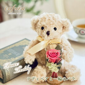 プリザーブドフラワー くまのぬいぐるみ カーネーション テディベア ぬいぐるみ 一輪のバラ 女性 誕生日 プレゼント 母へのプレゼント 女友達 ギフト 電報 花束 ブーケ 母 義母 祖母 妻 退職 送別 かわいい 贈り物 くま ブリザードフラワー 祝電 結婚式 還暦祝い