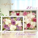 プリザーブドフラワー 胡蝶蘭 フレーム フラワーアレンジ 額装 プリザーブド ホワイトデー 退職祝い 開業祝い お祝い 結婚式 結婚祝い 結婚記念日 お供え花 お悔やみ お供え 女性 ギフト 妻 両親 還暦 父 母 ブリザードフラワー 退職 米寿 長寿のお祝い 花 送料無料