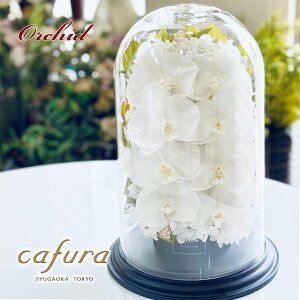 vU[uht[ Ӓ  KXh[    ފ  LO a ړ]j ސEj j JƏj Vzj i җ P Ď Ê   uU[h