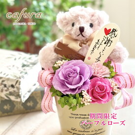 プリザーブドフラワー プレゼント カーネーション くま クマ ぬいぐるみ プリザードフラワー ホワイトデー 誕生日 母 義母 祖母 プリザーブドフラワーアレンジ 母への誕生日プレゼント テディベア 可愛い おしゃれ かわいい 出産祝い 男の子 女の子 お祝い 還暦祝い