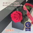 プリザーブドフラワー 1本 バラ ボックス 誕生日 記念日 卒業 プロポーズ 記念日 彼女 恋人 妻 枯れない花 1輪 ブリザードフラワー バラ 花 薔薇 入学 入社 異動 退職 送別 赤いバラ 青いバラ 黄色 白いバラ ピンク ブルー レッド ホワイト
