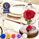 プリザーブドフラワー 美女と野獣 ガラスドーム プロポーズ 赤いバラ 還暦 1輪のバラ 結婚記念日 記念日 名入れ 喜寿 祝い 結婚 彼女 妻 義母 恋人 友達 誕生日 退職 ブリザードフラワー 米寿 紫バラ 喜寿 古希祝い 白バラ 白寿 百寿祝い