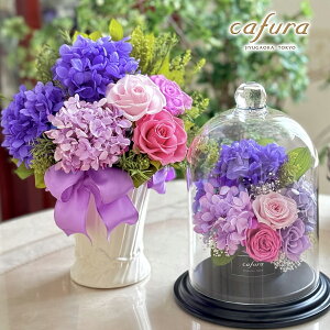 vU[uht[ KXh[ AWTC  o  z J[l[V  a  LOi  ސE  a e  FB  ` f Vzj Ê  j