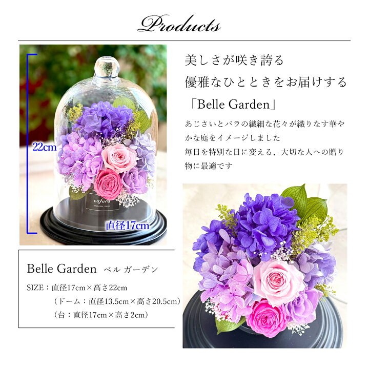 楽天市場】母の日 花 ギフト プリザーブドフラワー フラワードーム 