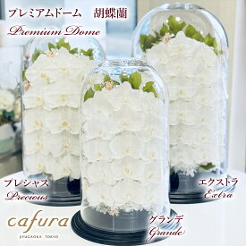 プリザーブドフラワー 大型ドーム ガラスドーム 胡蝶蘭 最高級 名入れ お供え お悔み花 法事 記念日 記念品 お祝い 名前入り 開業祝い お悔やみ 法要 就任祝い 昇進 退職 長寿 周年祝 新築祝い 誕生日 命日 贈答品 ブリザードフラワー 喜寿祝い 傘寿 米寿 卒寿 白寿 百寿