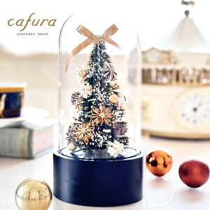 vU[uht[ NX}X c[ h[ NX}Xv[g 2025 h[c[ ~jc[ KXh[   TCY ݑ v[g MtgCeA O[ N