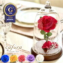 プリザーブドフラワー 美女と野獣 ガラスドーム プロポーズ 赤いバラ 還暦 1輪 バラ 結婚記念日 記念日 ホワイトデー バレンタイン 喜寿 米寿 古希 祝い 結婚 彼女 妻 恋人 友達 一輪花 一輪挿し 花 想いを届ける 名入れ ギフト 刻印 金婚式 ブリザードフラワー 白バラ