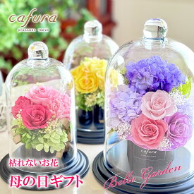 母の日 花 ギフト プリザーブドフラワー フラワードーム アジサイ カーネーション あじさい バラ 紫 紫陽花 母の日2026 花ギフト 母の日のお花 誕生日 結婚式 ドームフラワー 記念品 退職 両親 妻 女友達 母 義母 叔母 古希 喜寿 祝い 古希 ブリザーブド ブリザードフラワー