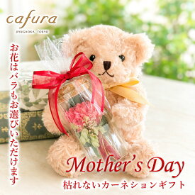 母の日 花 プリザーブドフラワー カーネーション テディベア ぬいぐるみ 一輪のバラ 女性 誕生日 プレゼント くまのぬいぐるみ 母の日プレゼント 女友達 誕生日 電報 花束 ブーケ 母 義母 祖母 妻 退職 送別 かわいい 贈り物 くま ブリザードフラワー 祝電 結婚式 還暦祝い