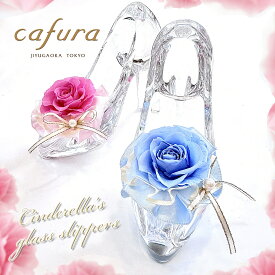 母の日 ガラスの靴 花 プリザーブドフラワー 彼女 ホワイトデー お返し 誕生日 プレゼント シンデレラ バラ ガラス製 記念日 結婚式 結婚記念日 誕生日プレゼント おしゃれ ガラス製 ブリザードフラワー プロポーズ 記念日 ホワイトデー 妻 女性 ギフト 本物 一輪のバラ