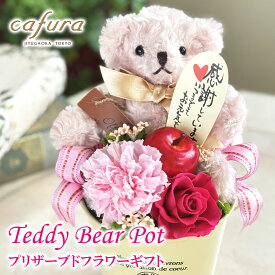 プリザーブドフラワー ギフト ぬいぐるみ プレゼント カーネーションくま クマ ブリザードフラワー 誕生日 くまのぬいぐるみ 母 義母 祖母 プリザーブドフラワーアレンジ 誕生日プレゼント テディベア 可愛い おしゃれ かわいい 出産祝い 男の子 女の子 お祝い