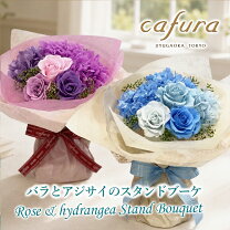 楽天市場】紫陽花 誕生日の通販