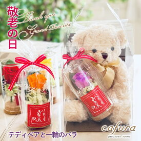 プリザーブドフラワー くまのぬいぐるみ カーネーション テディベア ぬいぐるみ 一輪のバラ 女性 誕生日 プレゼント 母へのプレゼント 女友達 ギフト 電報 花束 ブーケ 母 義母 祖母 妻 退職 送別 かわいい 贈り物 くま ブリザードフラワー 祝電 結婚式 還暦祝い