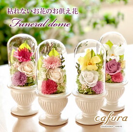 プリザーブドフラワー お供え ガラスドーム 仏花 一対 仏壇用 お悔やみ お花 蘭 菊 ブリザードフラワー 枯れない お供え花 法事 命日 三回忌 七回忌 御供 弔電 電報 仏壇 新盆 初盆 お供え用のプリザーブドフラワー お供えプリザーブドフラワー お供え花ブリザード 送料無料
