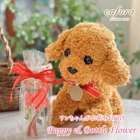 プレゼント プリザーブドフラワー ぬいぐるみ トイプー バラ カーネーション ボトルフラワー 花 誕生日 プレゼント 犬 イヌ ワンちゃん トイプードル おしゃれ 花束 女友達 母親 女性 義母 両親 妻 新築祝い 還暦祝い 古希 米寿 お祝い ブリザードフラワー